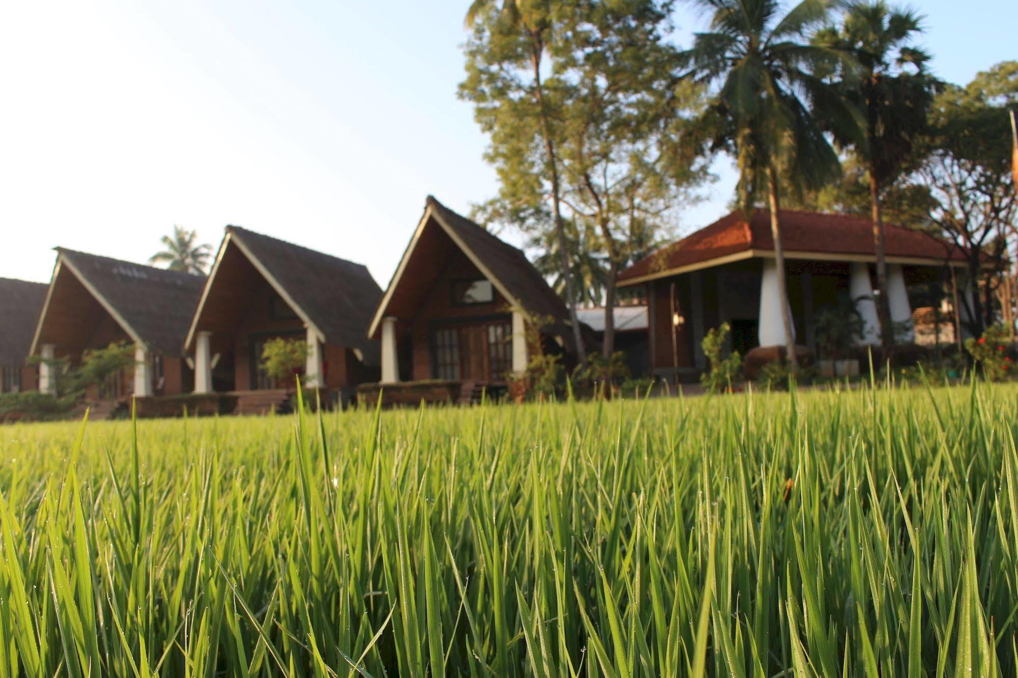 Avasta Resort And Spa Анурадхапура Екстериор снимка