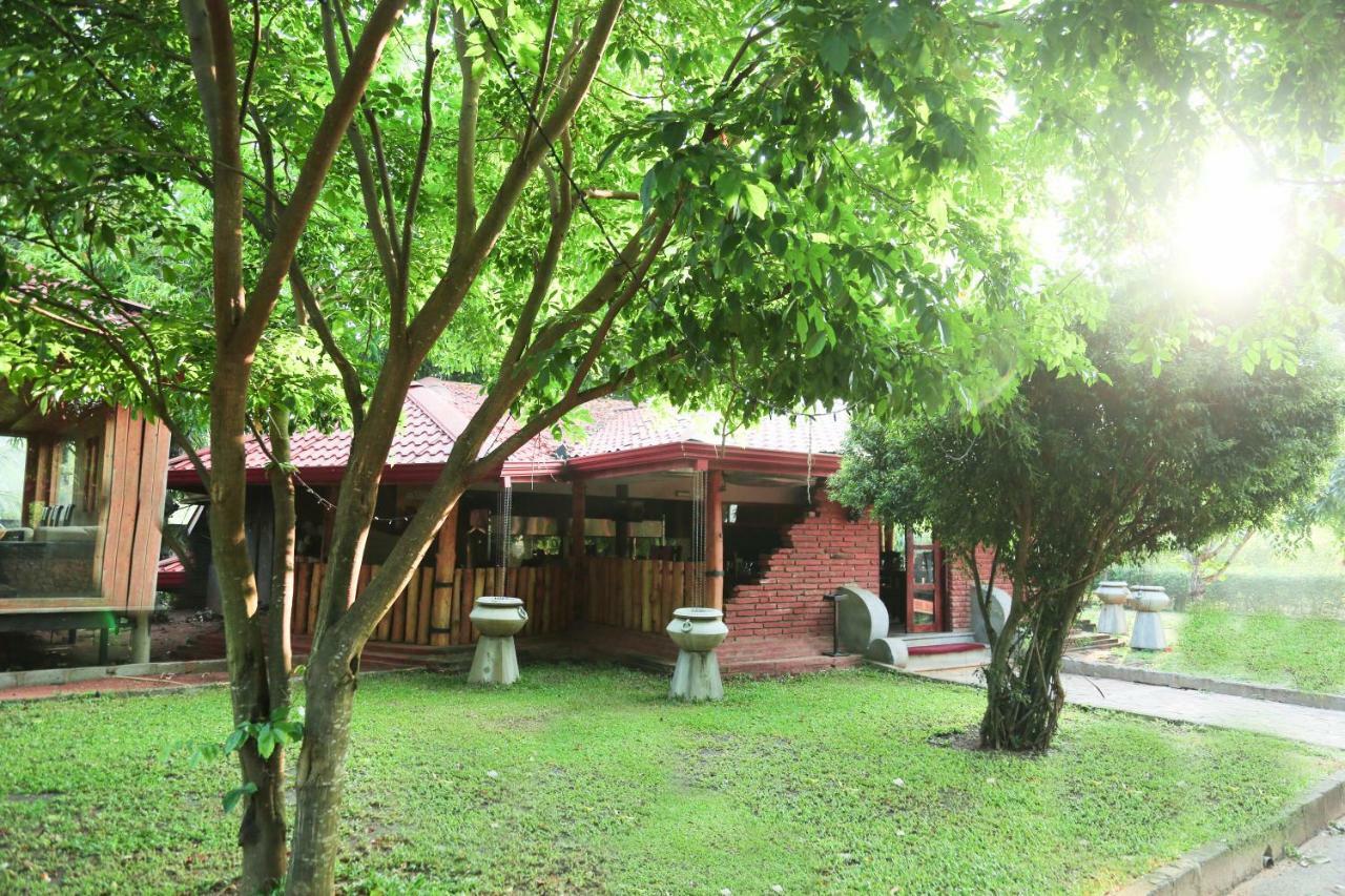 Avasta Resort And Spa Анурадхапура Екстериор снимка