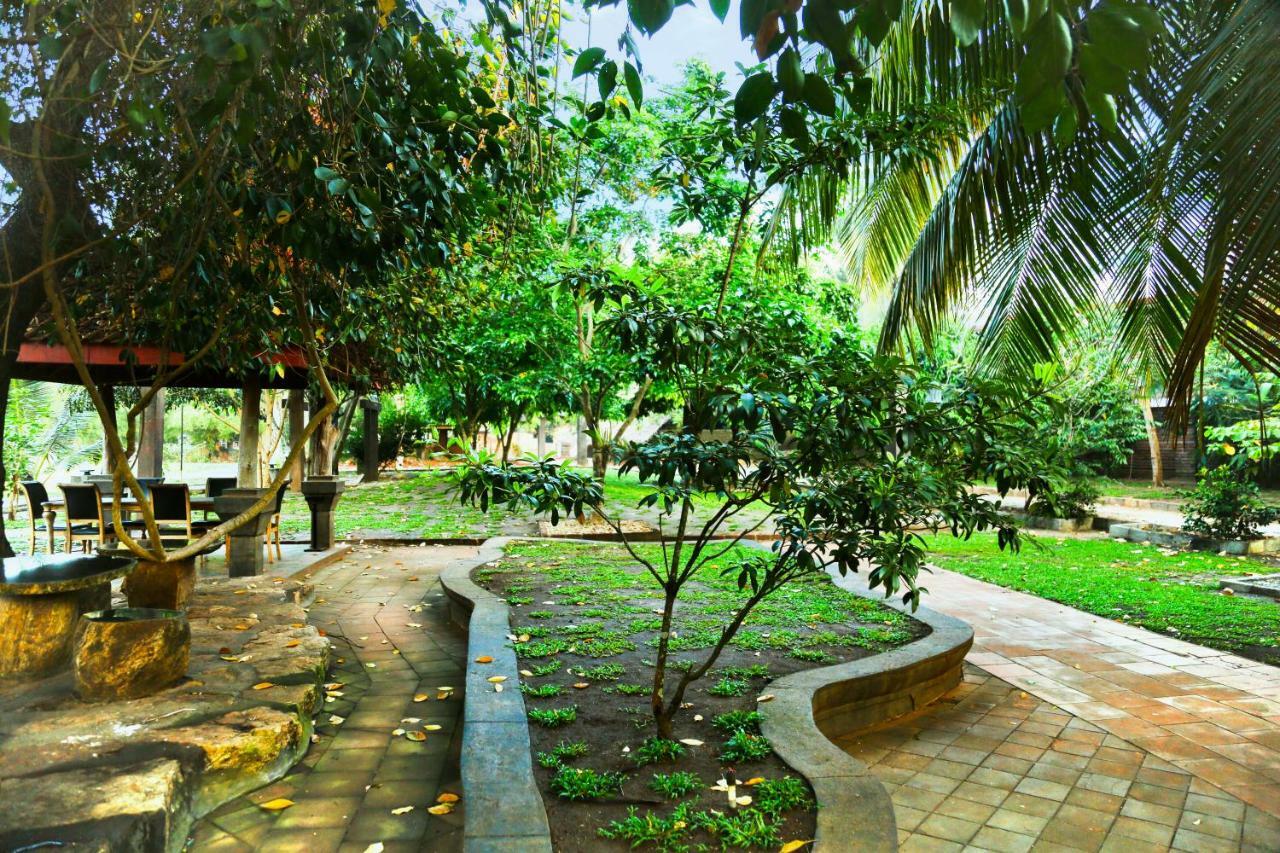 Avasta Resort And Spa Анурадхапура Екстериор снимка
